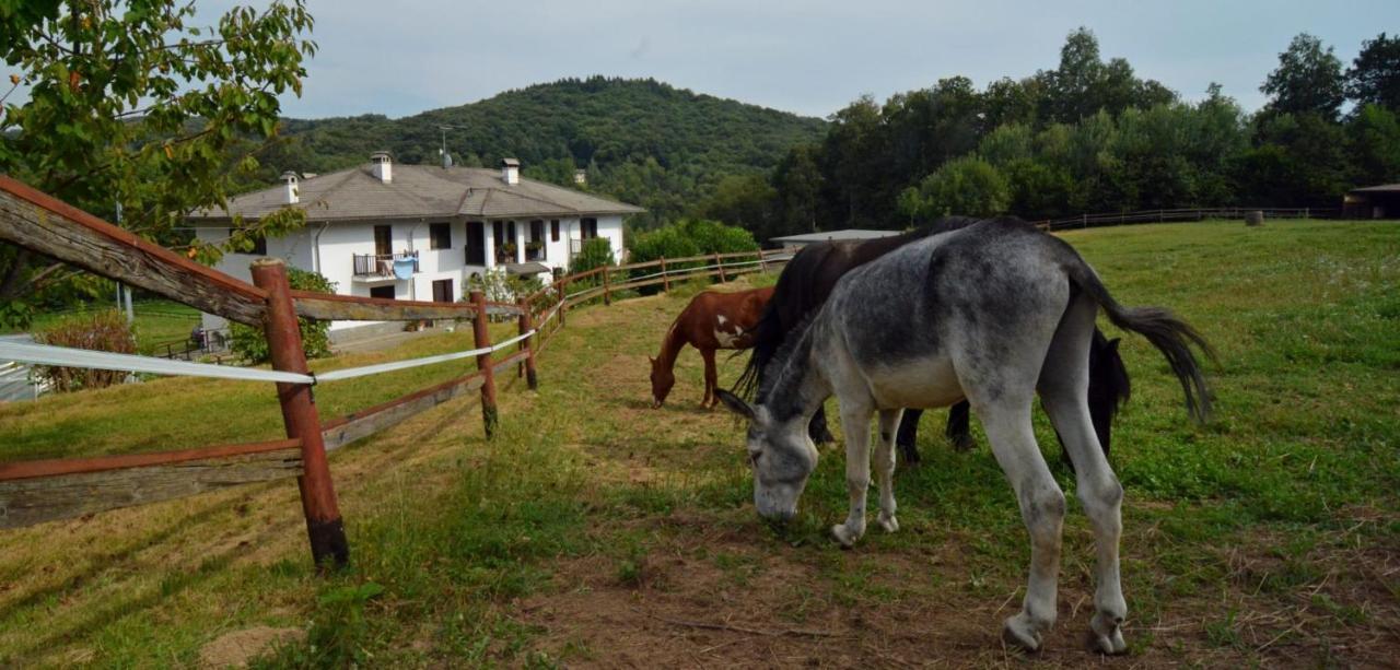 Favetto Family Ranch Bed & Breakfast Rueglio Bagian luar foto